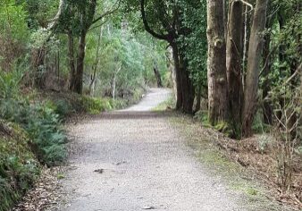 The walk I wished I would have......