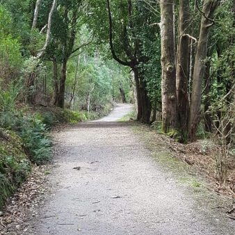 The walk I wished I would have......