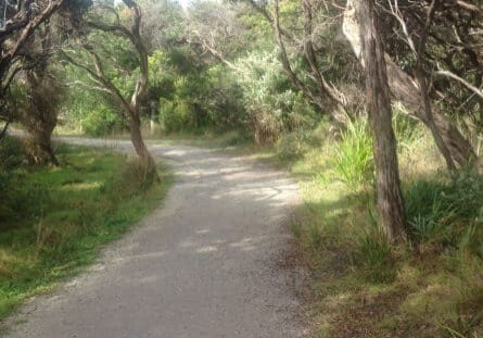 Cape Paterson pram-friendly walking path, Victoria